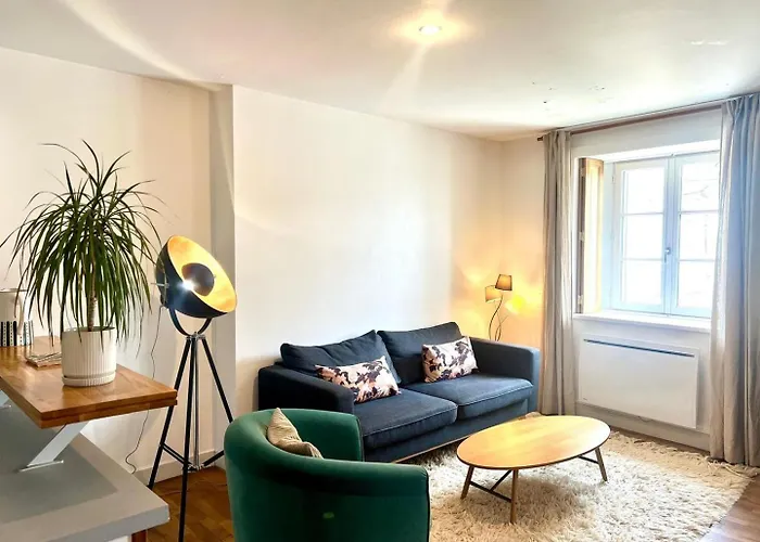Le Saint-gregoire : Lumineux Centre-ville Apartamento Poitiers